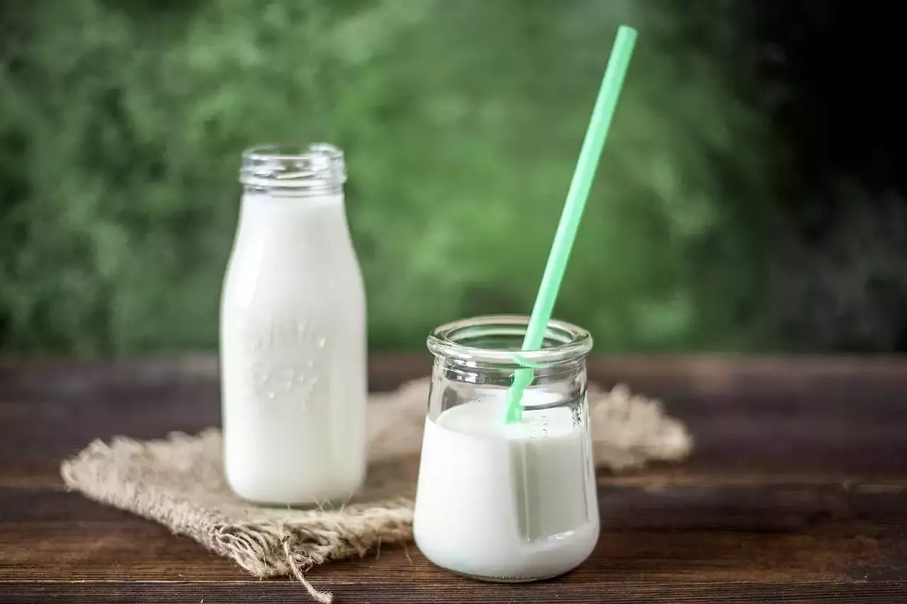 Choosing the Right Yogurt for Your Little One